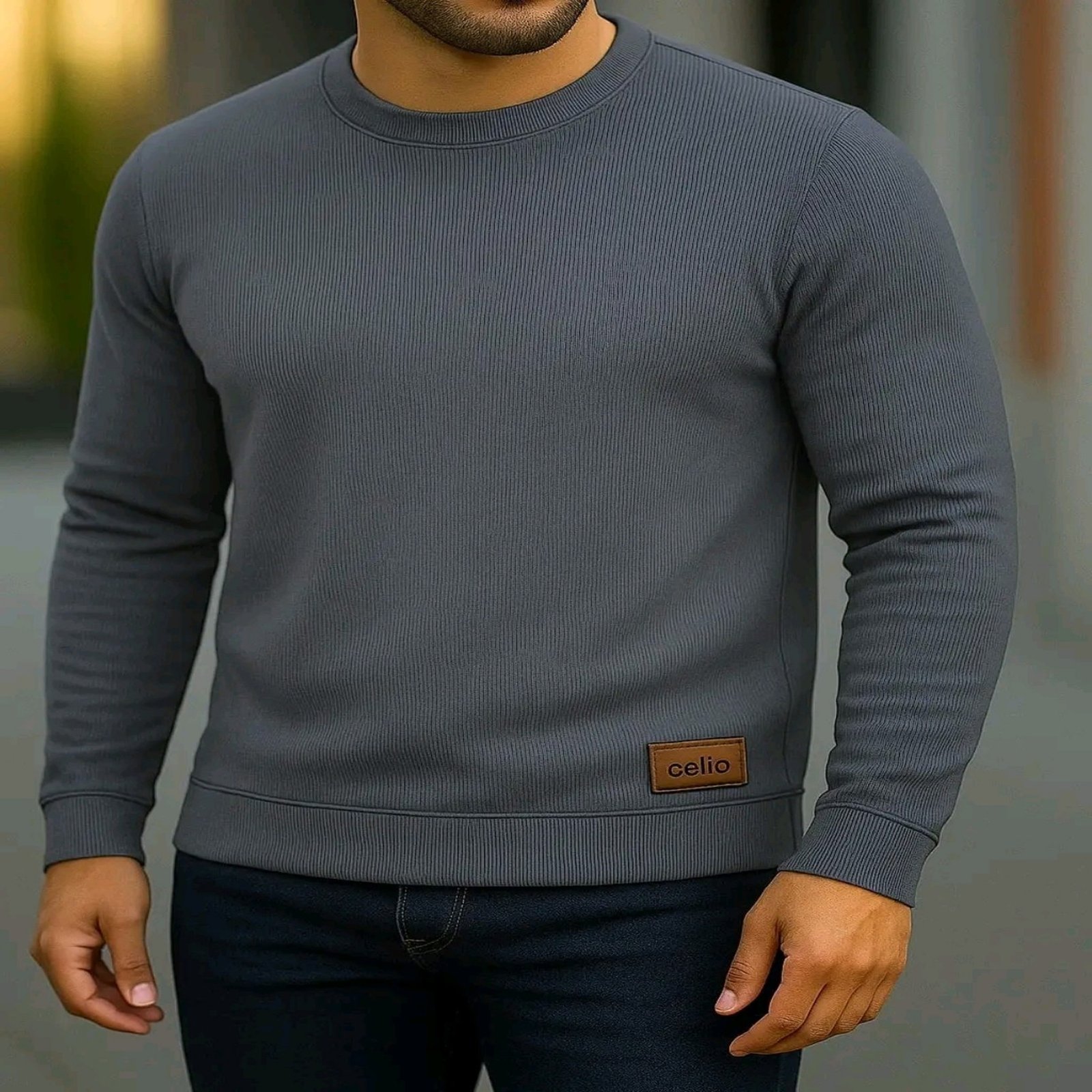Celio Sweatshirt (Charcoal)